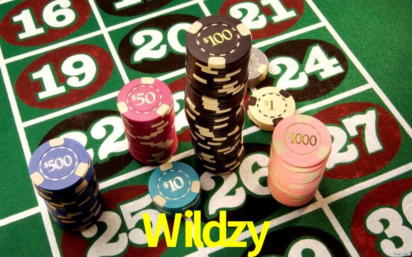 Acceso seguro de inicio de sesión Wildzy para jugadores en México