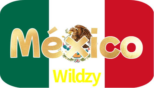 Wildzy Logo